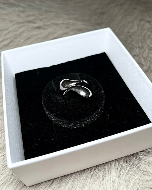AQUA RINGS